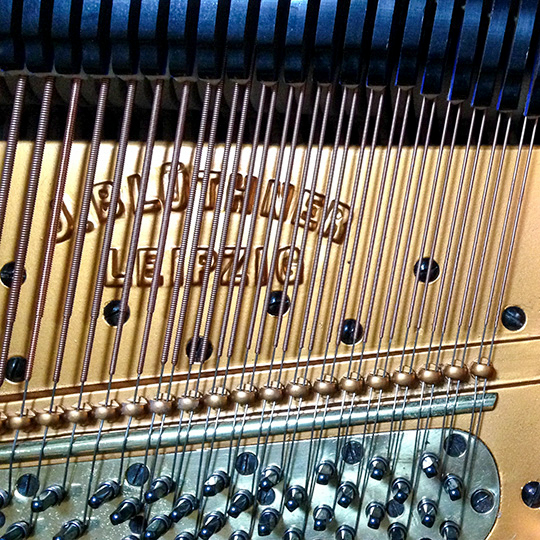 Bluthner grand piano, detail of frame and strings